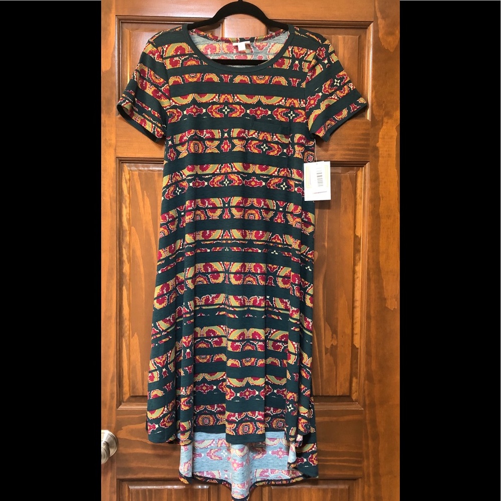 NWT LuLaRoe Carly - Green Pattern Stripe